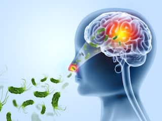 'Brain-Eating Amoeba': Kerala Boy Makes Rare Recovery From Amoebic Meningoencephalitis Having 97 Percent Mortality Rate