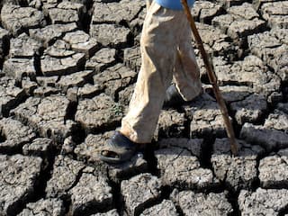 Maharashtra Water Crisis: Storage Plummets To Alarming Levels In 11 Marathwada Reservoirs; 2 Run Dry At Zero Percent