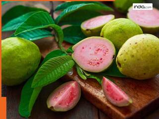 Guava Leaf Benefits: अमरूद के पत्ते खाने से मिलते हैं ये 6 चौंकाने वाले फायदे, जानें सेवन करने का तरीका