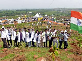 इंदौर ने रचा इतिहास, 24 घंटे में 11 लाख पेड़ लगाकर बनाया 'गिनीज वर्ल्ड रिकॉर्ड', अमित शाह ने भी रोपा पौधा