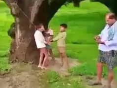 Viral Video: माली ने बच्चों को पेड़ से बांधकर पीटा, चीख ना निकले इसलिए मुंह में ठूंस दिया आम | वीडियो वायरल