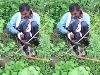 Azgar Ka Video: शौच करने गए शख्स को अजगर ने दबोच लिया, फिर जो हुआ पूरा गांव हिल गया | देखें वीडियो