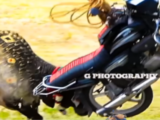 Wild Animal Video: ऐसा गुस्सैल सांड नहीं देखा होगा, कुछ नहीं मिला तो बाइक को 10 फीट हवा में उछाल दिया | देखें वीडियो