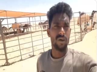 india.com top news
