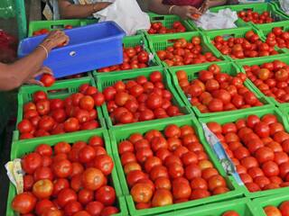 क्यों बढ़ रही प्याज-टमाटर और दाल की कीमत? Economic Survey में सामने आई वजह