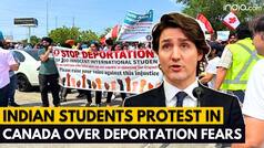 Canada: Indian Students Protest Against Canada's Immigration Policy Changes, Deportation Fears