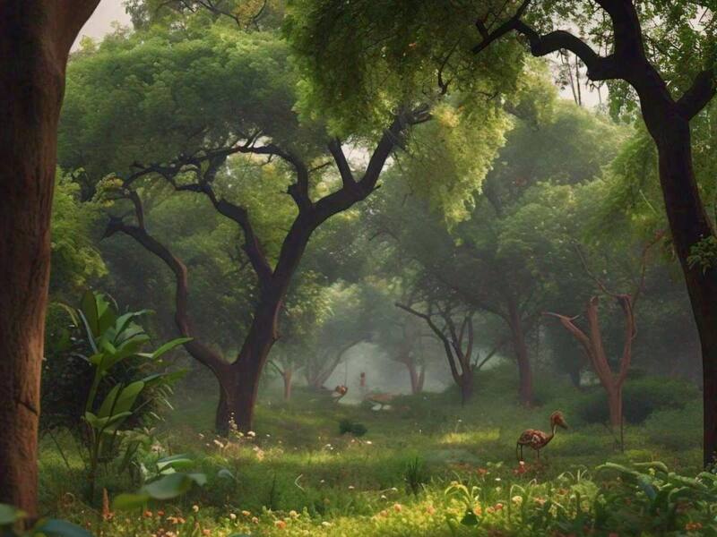 Explore Delhis Secret Spots Beyond India Gate & Tourist Routes