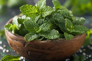 Unlock The Secrets Of Mint: Enhancing Cognitive Function And Immune System