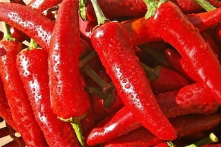Red Pepper Power: 10 Detailed Health Benefits Revealed