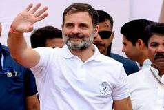 Rahul Gandhi Announces Bharat Dojo Yatra On National Sports Day; Here's What It Means