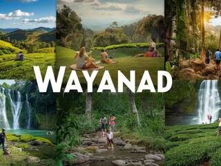 From Tea Gardens To Waterfalls: 8 Best Weekend Getaways In Wayanad