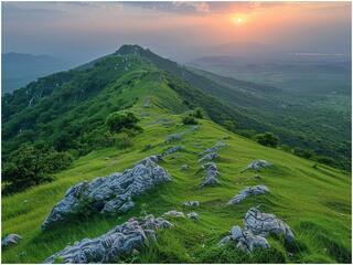 गया की ब्रह्मयोनी पहाड़ी पर रिसर्चर्स को मिला गुड़मार का पौधा, डायबिटीज के मरीजों के लिए है वरदान