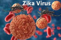 Four Deaths Due To Zika Virus Reported From Pune