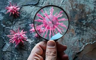 Amoebic Meningoencephalitis in Kerala: Signs, Symptoms And Treatment of Brain-Eating Amoeba