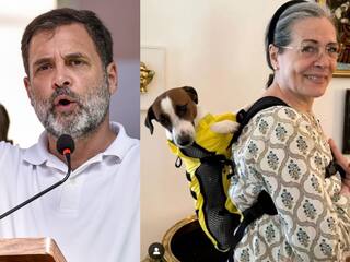 राहुल-प्रियंका नहीं, सोनिया गांधी का फेवरेट है घर का ये सदस्य, कांग्रेस सांसद ने फोटो पोस्ट कर किया खुलासा