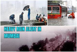 Mumbai On Rain Alert: IMD Issues Red Alert For This District; Forecasts Heavy Rainfall Today, Check Weather Update