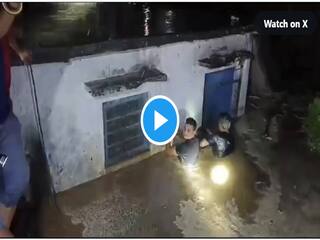 VIDEO: गौशाला में भर गया था पानी, अल्मोड़ा पुलिस ने जान पर खेलकर गोवंश को बचाया