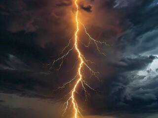 OMG! जंगल में अचानक गिरी आकाशीय बिजली, एक साथ चपेट में आ गए 20 मवेशी