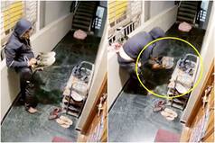 Viral Video: Not Jewelry, Thief Steals Sneakers in Bengaluru Building