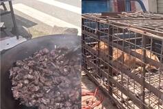 Internet In Shock After Video Of Open Dog Meat Shop In China Goes Viral