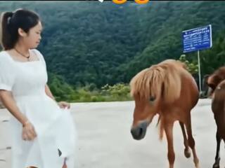 Ladki Ka Video: घोड़े के सामने नई ड्रेस में इतराने लगी लड़की, पड़ी ऐसी किक फिर उठी ही नहीं बेचारी | देखें वीडियो