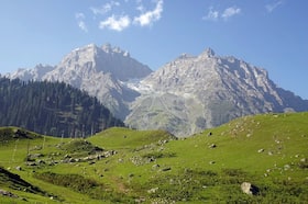 india.com top news