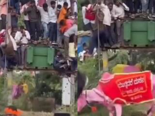 Wild Animal Video: सांड ने ऐसा डराया ट्रांसफार्मर पर चढ़ गया आधा गांव, फिर जो हुआ यकीन ना करेंगे | देखें वीडियो