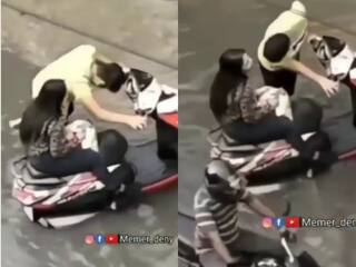 Premi Premika Ka Video: स्कूटी खराब हुई फिर भी नीचे नहीं उतरी प्रेमिका, तभी प्रेमी ने जो किया भूल ना सकेगी कभी | देखें वीडियो