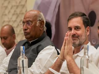 'Have Blood Relationship With Them': Rahul Vows Statehood For J&K On Pre-Poll Visit To Valley