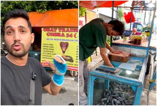 Shocking! This Roadside Stall Sells 'Cobra Pakora', 'Blood Juice'; Multiple Snakes Caged | Watch Viral Video