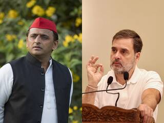 Haryana Assembly Election: 'अगर हम वहां कमजोर, तो यूपी में कांग्रेस भी मजबूत नहीं...' ,सपा हरियाणा में सीटें लेने पर अडिग