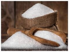 Davangere Sugar Looks to Leverage Ethanol Production Capabilities As Govt Urges Sugar Mills to Explore Alternatives
