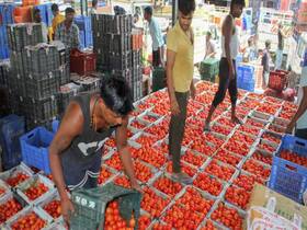 india.com top news
