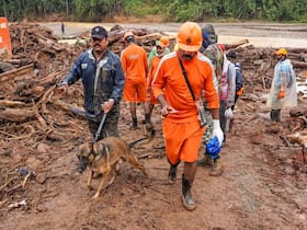 india.com top news
