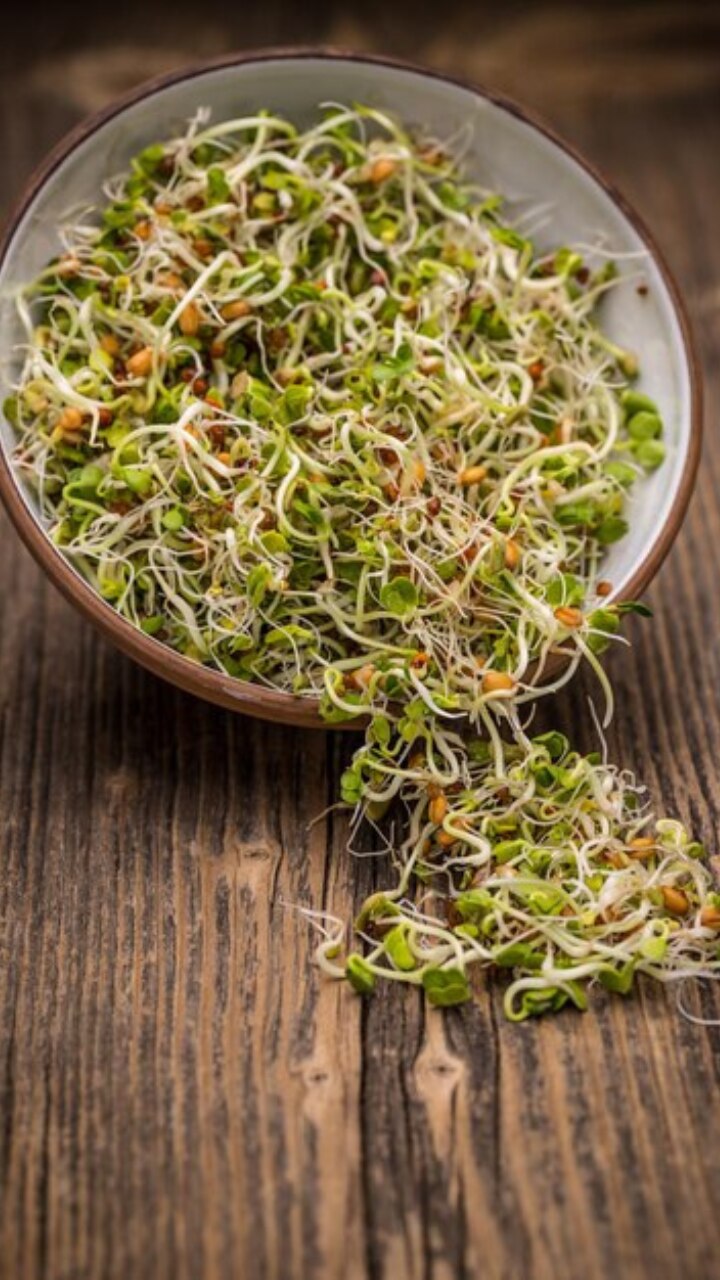 8 Reasons Why You Should Eat Sprouts Everyday