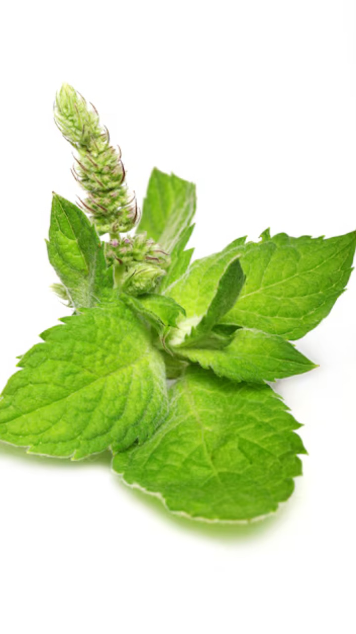 8 Amazing health benefits of consuming mint regularly