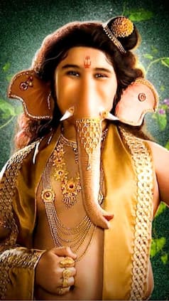 india.com webstories