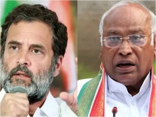 'न कभी भारत का अपमान किया...और न ही कभी करेंगे', राहुल गांधी के बचाव में उतरी कांग्रेस, जानें पूरा मामला