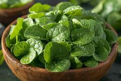 Top Benefits Of Mache For Optimal Health