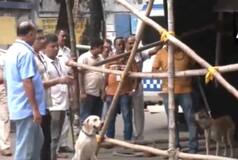 Bomb Scare At RG Kar Hospital: Suspicious Bag Found Near Doctors' Protest Site, area cordoned off