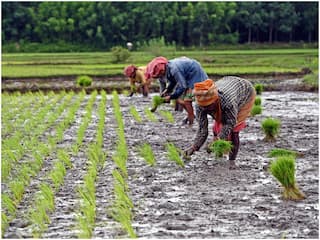 किसानों को सशक्त बनाएगी सरकार, मिलेगा आधार जैसा यूनिक नंबर; रजिस्ट्रेशन जल्द- जानें क्या-क्या होगा फायदा