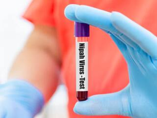 Nipah virus outbreak: 24-year-old from THIS Kerala district latest fatality, says state health minister