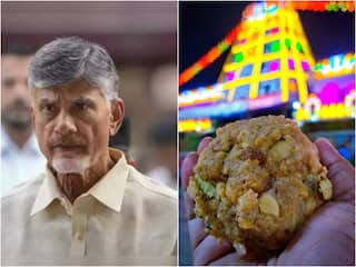 Tirupati Laddus Row: All Andhra temples to be cleansed, says CM Chandrababu Naidu