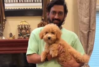 MS Dhoni's cutest video with a puppy goes viral, watch here...