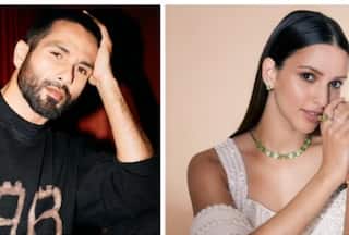 Shahid and Triptii to share screen for Vishal Bharadwaj's new project