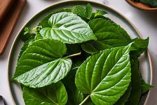 Discover The 9 Surprising Benefits Of Eating Betel Leaf