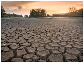 सूखे की चपेट में पोलैंड, सबसे लंबी नदी विस्तुला का जलस्तर रिकॉर्ड स्तर से नीचे पहुंचा 