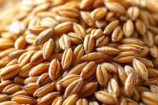 Discover The Incredible Health Benefits Of Barley: Rich In Nutrients And Fiber