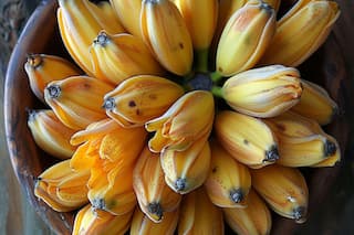 10 Surprising Reasons Why Banana Flowers Are Essential For Your Health