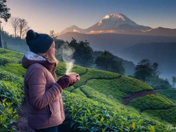 Darjeeling Travel Guide: 7 Essential Tips For First-Timers